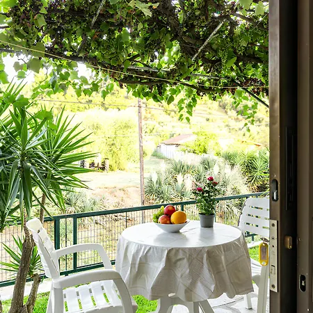 Skioni By Diomedes Group Nea Skioni